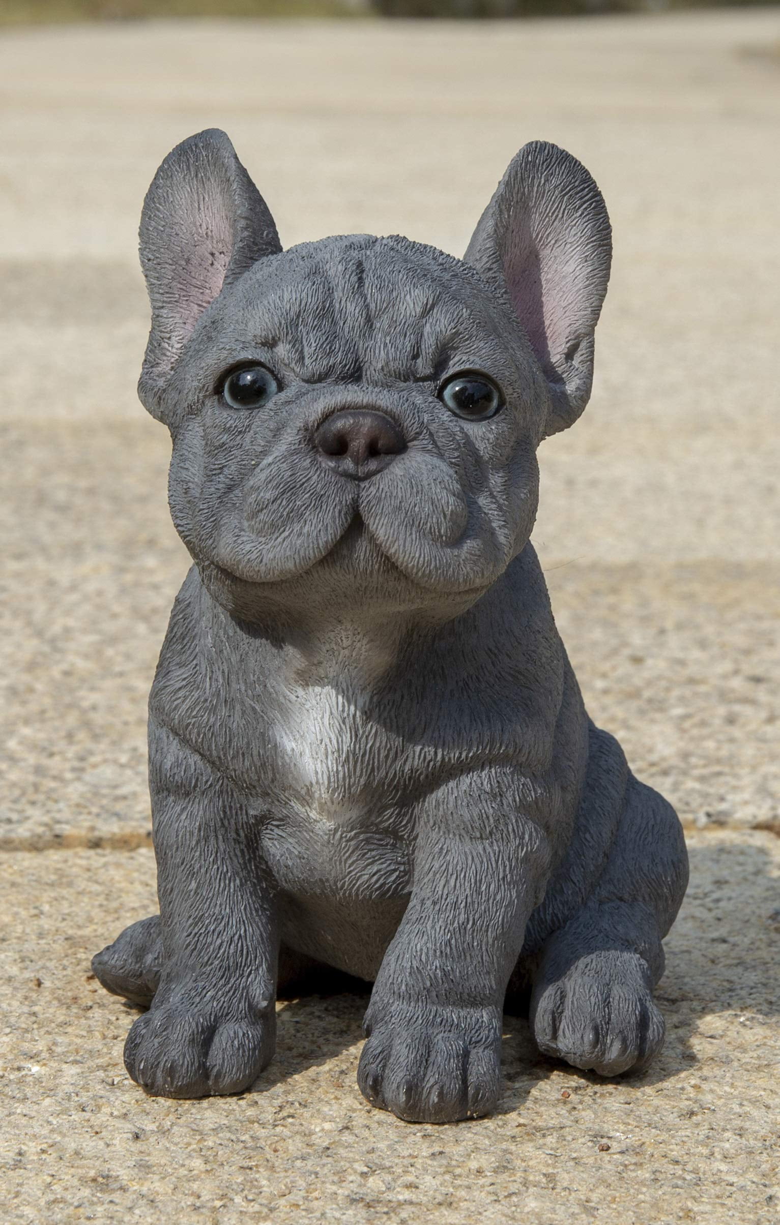 Gray Resin French Bulldog Puppy Sitting Statue
