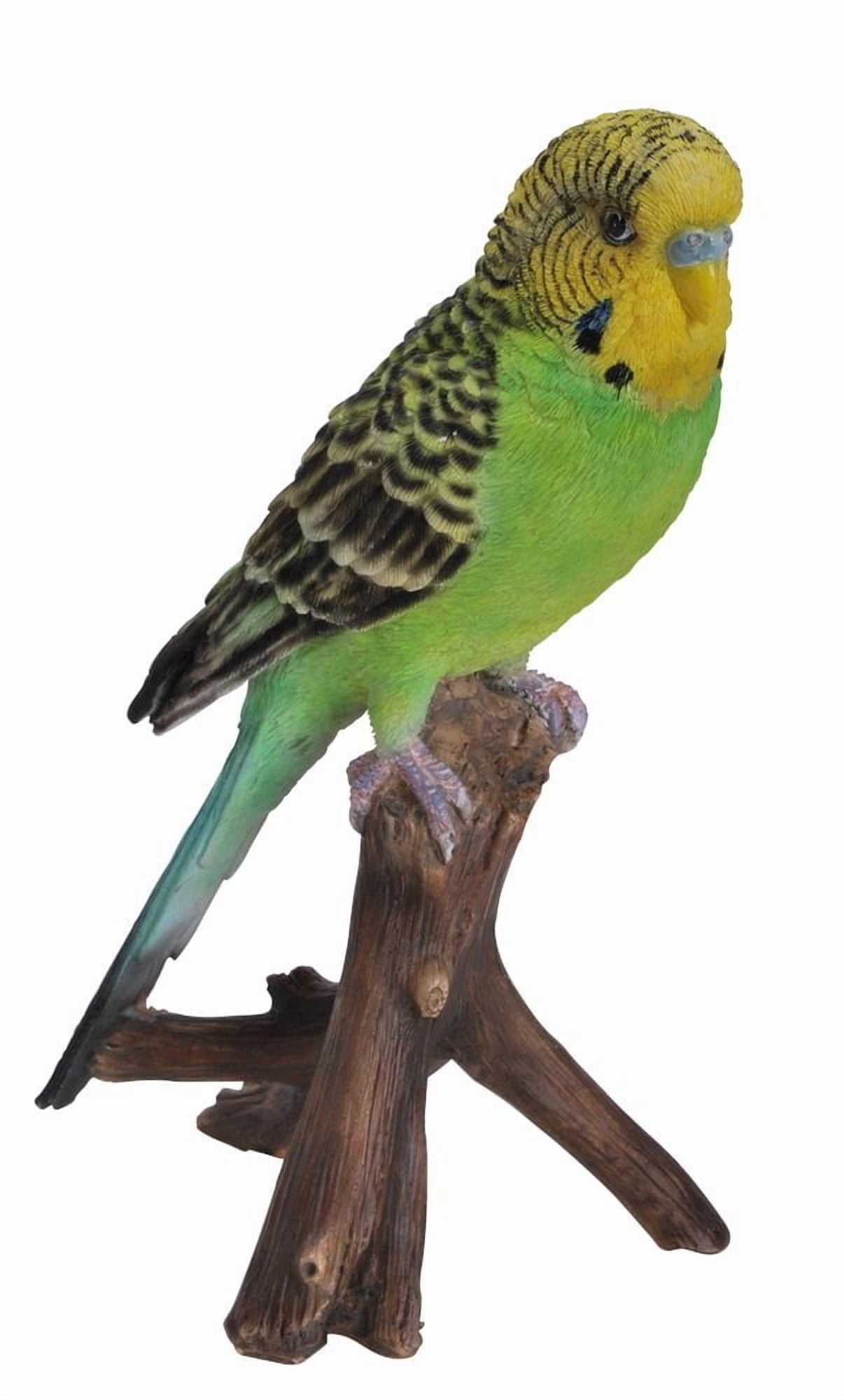 Hi-Line Gift Budgie on Branch 7” Green Animal Garden Statue, Incredibly Realistic