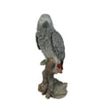 thumbnail image 1 of Hi-Line Gift Grey Gabon Parrot ON Stump, 1 of 6