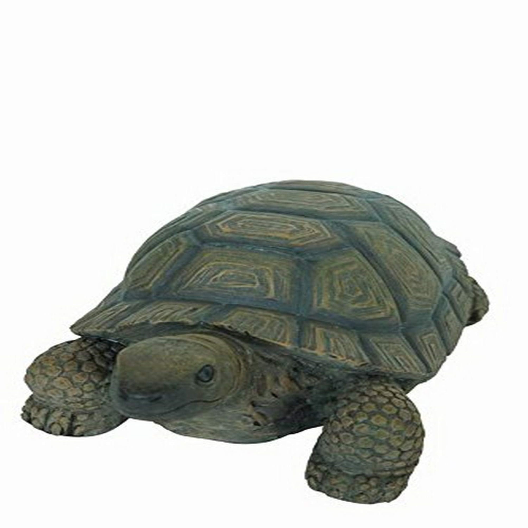 TURTLE 10 INCH