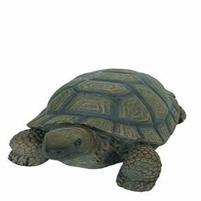 TURTLE 10 INCH