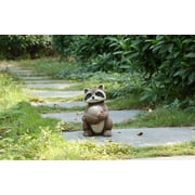 Racoon Holding Acorn