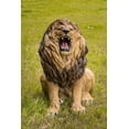 thumbnail image 1 of LION ROARING ULTRA REALISTIC STATUE, 1 of 5
