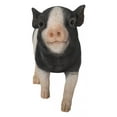 thumbnail image 1 of Hi-Line Gift Ltd 87726-F Baby Pig Standing, 8.7-inch Length, Black and White, Polyresin, 1 of 3
