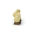 thumbnail image 1 of Hi-Line Gift Ltd. Playful Chicks Garden Statue, 1 of 4