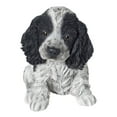 thumbnail image 1 of Hi-Line Gift Ltd 87771-15 Cocker Spaniel Pet Pals Figurine, 6.1-inch Height, Black and White, Polyresin, 1 of 8