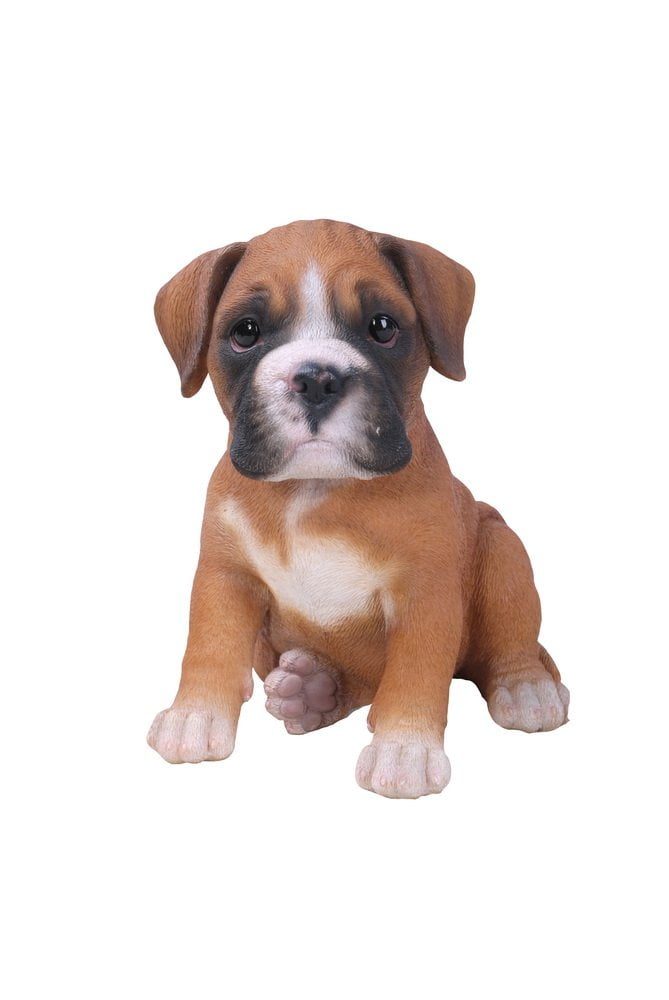 Adorable Brown and White Resin Boxer Puppy Statue