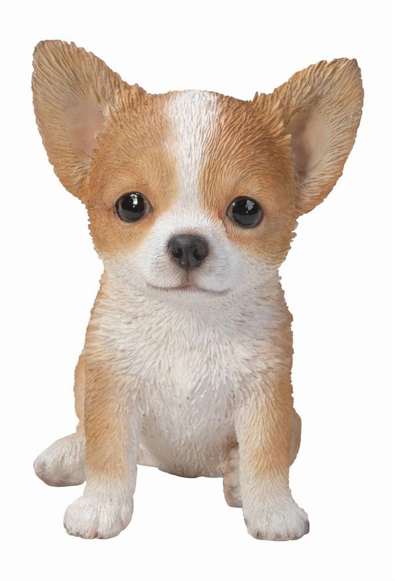 Hi-Line Gift Ltd Chihuahua Puppy Statue, Brown/White