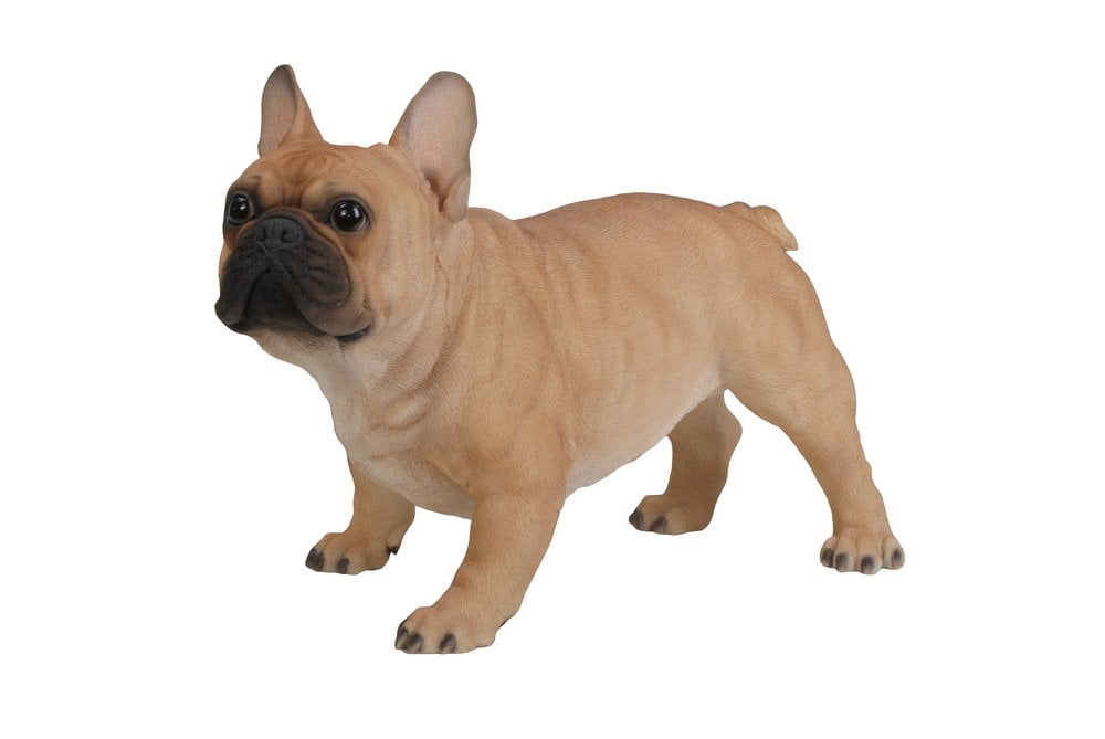 Large Beige Resin French Bulldog Statue