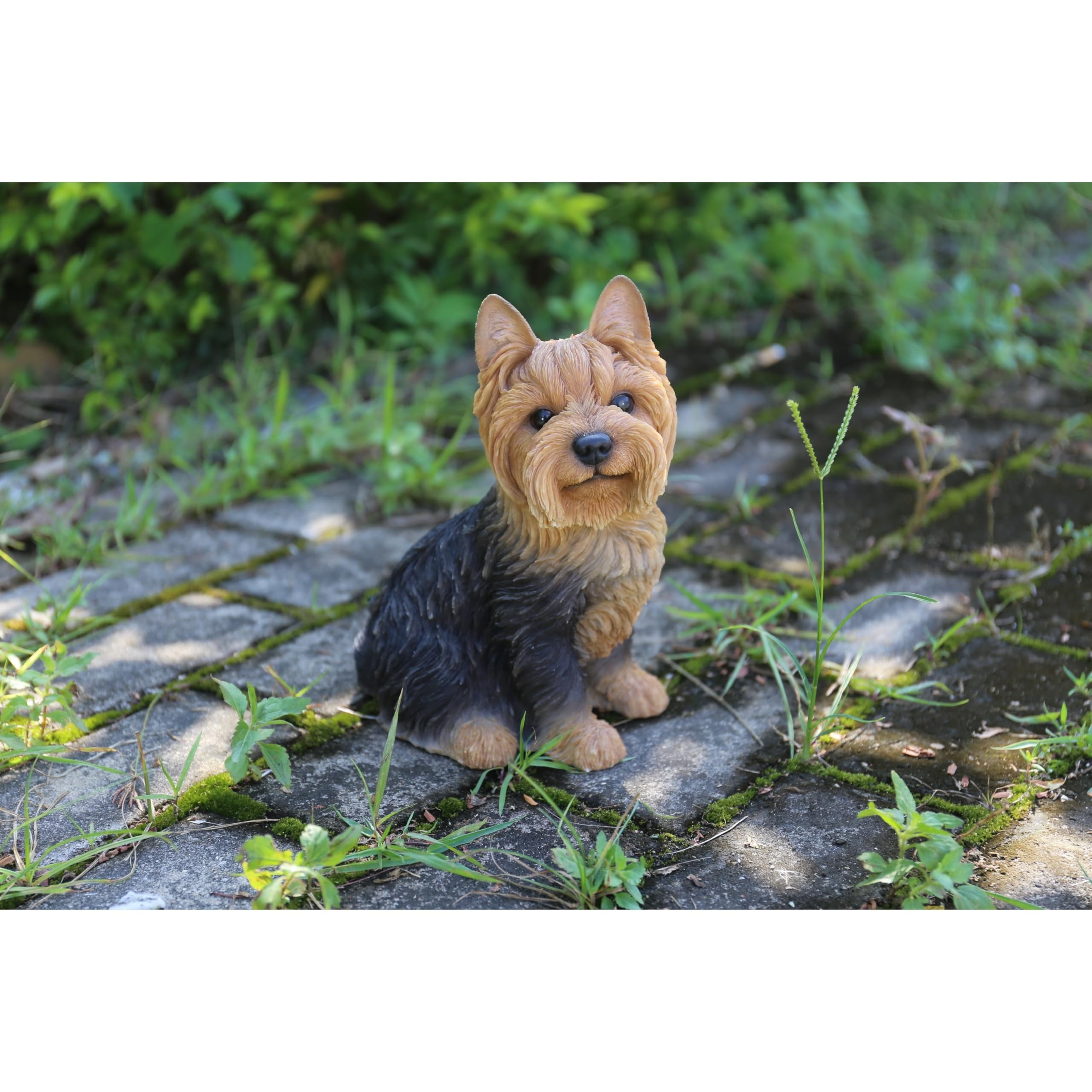 Adorable Brown and Black Sitting Yorkshire Terrier Dog Statue