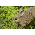 thumbnail image 1 of HARE CUB RUNNING STATUE, 1 of 8