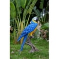 thumbnail image 1 of Hi-Line Gift 87776-B Macaw Statue, Blue & Yellow - Large, 1 of 3
