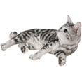 thumbnail image 1 of Hi-Line Gift Ltd Lying Down American Shorthair Cat Statue, 1 of 4