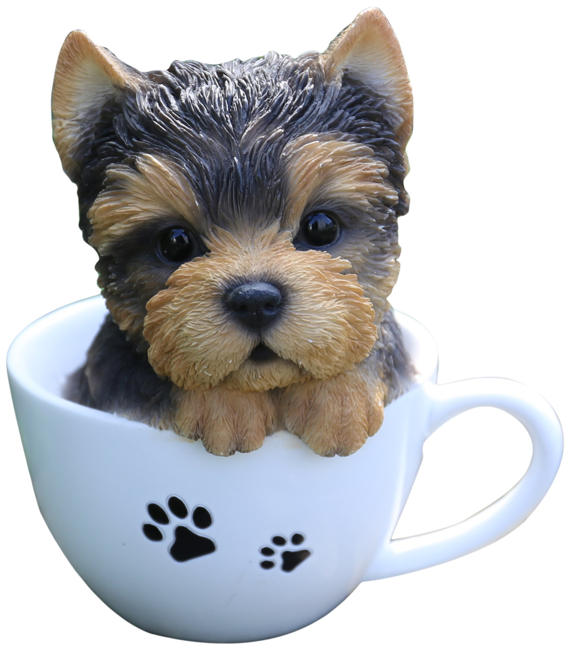 Adorable Brown Resin Yorkshire Terrier Puppy in Paw Print Cup Statue