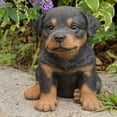 thumbnail image 1 of Hi-Line Gift Ltd, Rottweiler Puppy, 1 of 6