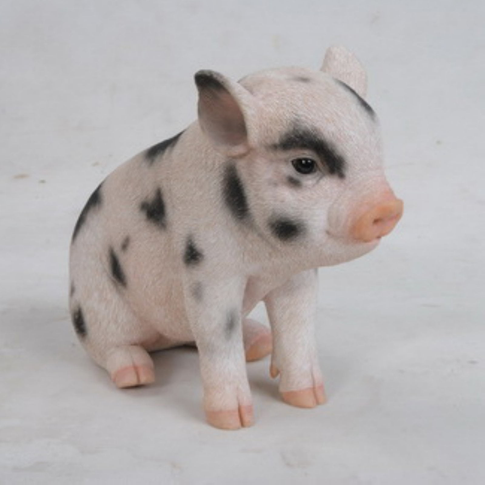 Buy Baby Pig Sitting Set of Three Little Pigs Yard Ornament Resin