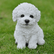 Hi-Line Gift Ltd Sitting Bichon Frise Puppy، 6