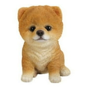 Hi-Line Gift Ltd Sitting Pomeranian Puppy, 6