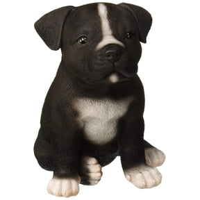 Hi-Line Gift Ltd. Staffordshire Pitbull Puppy Statue