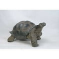 thumbnail image 1 of Hi-Line Gift Ltd Tortoise Statue - Large, 1 of 5