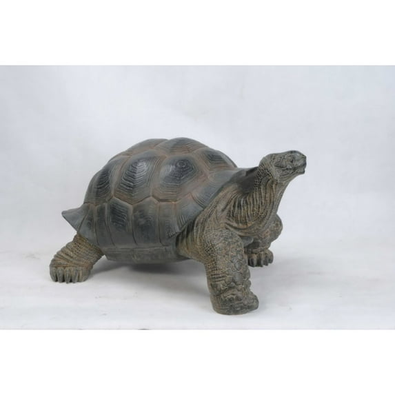 Hi-Line Gift Ltd Tortoise Statue - Large