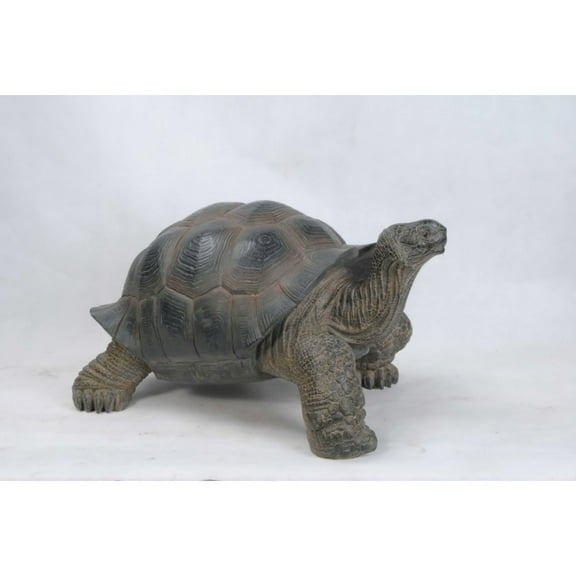 Hi-Line Gift Ltd Tortoise Statue - Large