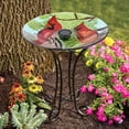 thumbnail image 1 of SOLAR LED FLORAL GLASS BIRD BATH WITH STAND - CARDINAL, 1 of 3