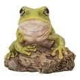 thumbnail image 1 of Hi-Line Gift White's Tree Frog, Green, 1 of 2
