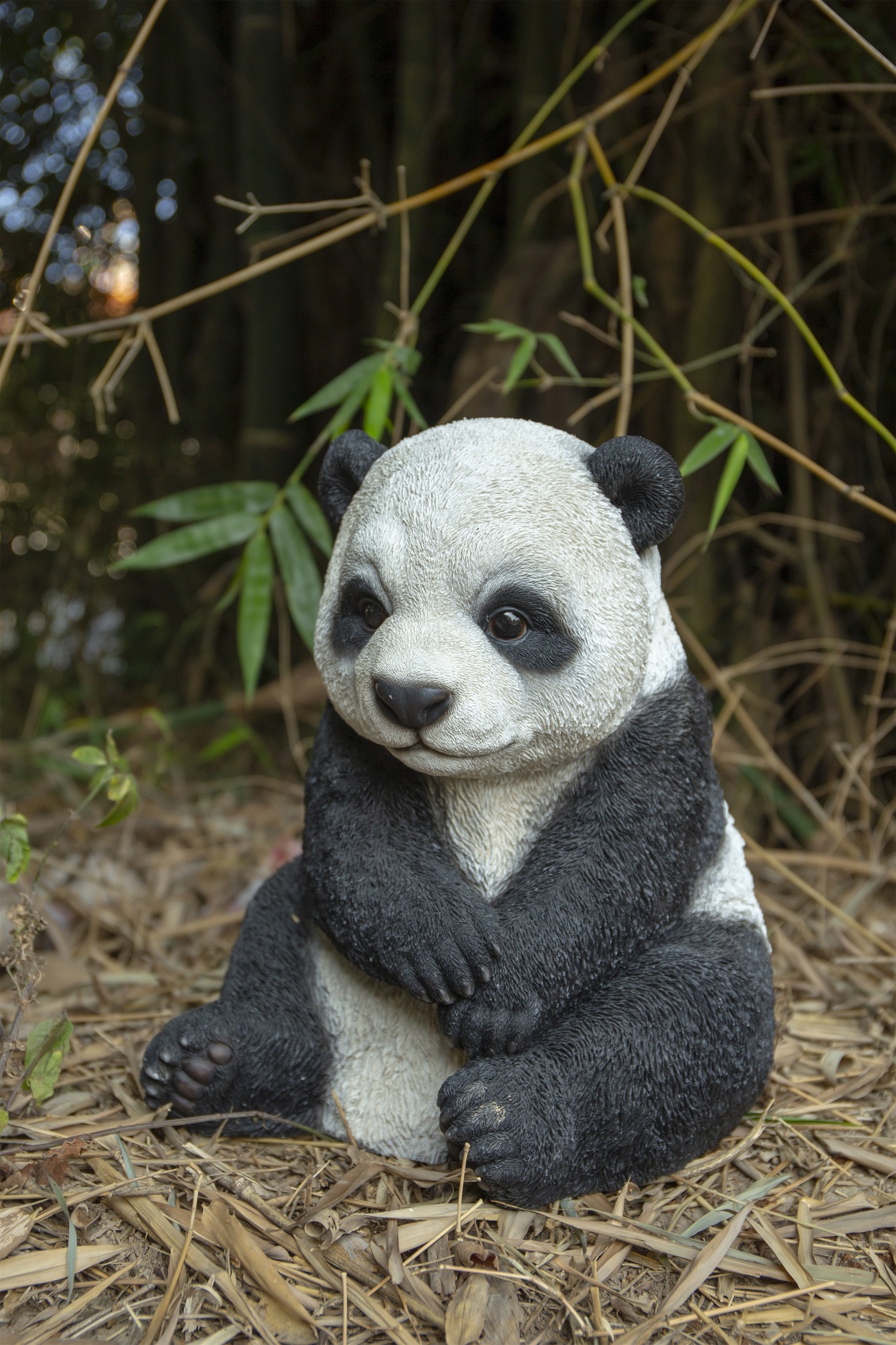 SMALL PANDA CUB SITTING