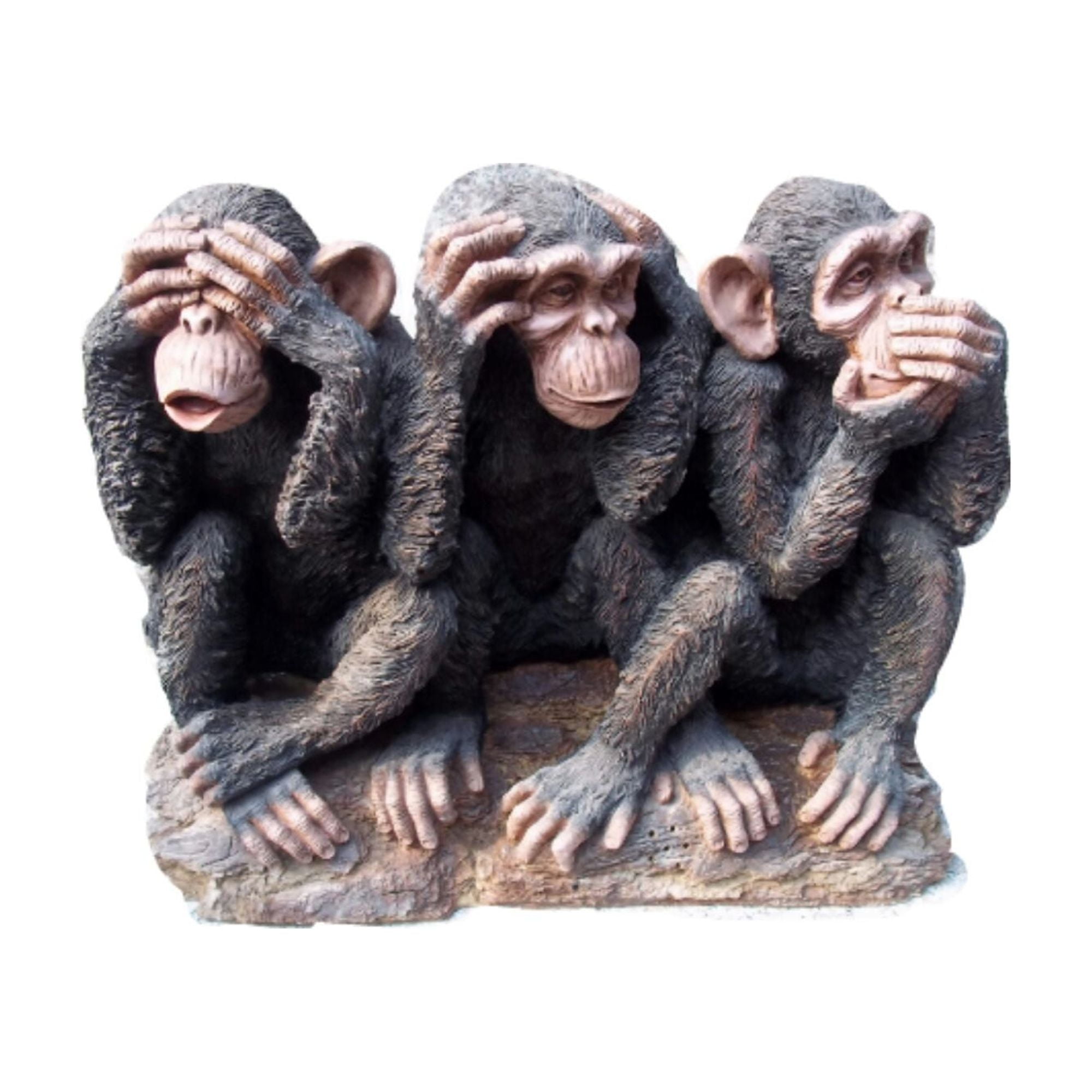 新品未開封 Wild Wise Apes 3rd world 2025年最新】Wild_Wise_Apesの人気アイテム - メルカリ