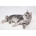 thumbnail image 1 of Hi-Line Gifts 17.5" American Short Hair Cat Lying Down Outdoor Garden Statue, 1 of 6