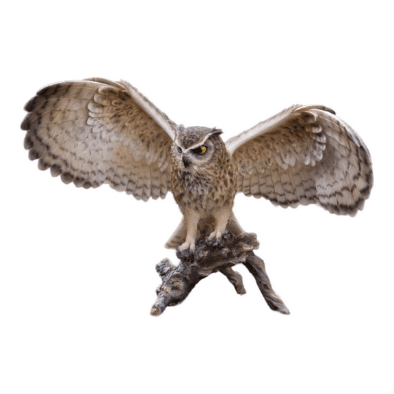 Hi-Line Gifts 19" Brown and Black Eagle Owl on Branch Figurine