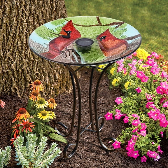 Hi-Line Gifts Solar Cardinals Glass Bird Bath with Stand - 21" - Red and Green