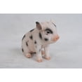 thumbnail image 1 of 7.5" Baby Pig Outdoor Garden Statue, 1 of 4