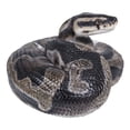 thumbnail image 1 of Hi-Line Gifts 7.75" Regius Python Outdoor Garden Statue, 1 of 5