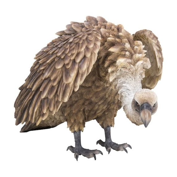 Hi-Line Gifts Bald Eagle Outdoor Garden Statue - 23.75"