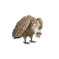 thumbnail image 1 of Hi-Line Gifts Bald Eagle Outdoor Garden Statue - 23.75", 1 of 8