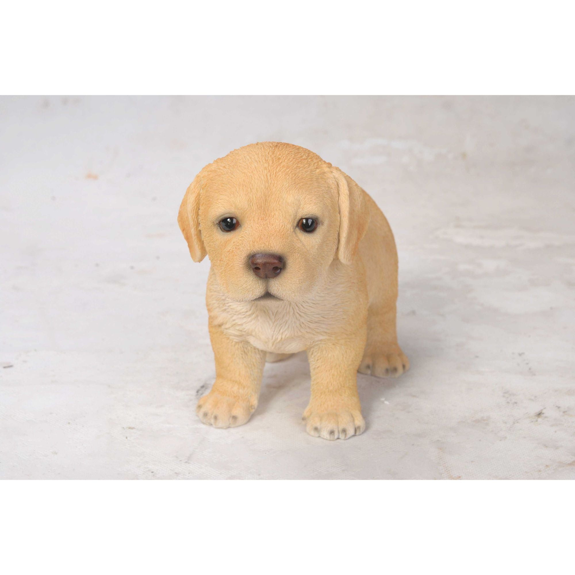 Adorable Yellow Labrador Puppy Polyresin Garden Statue