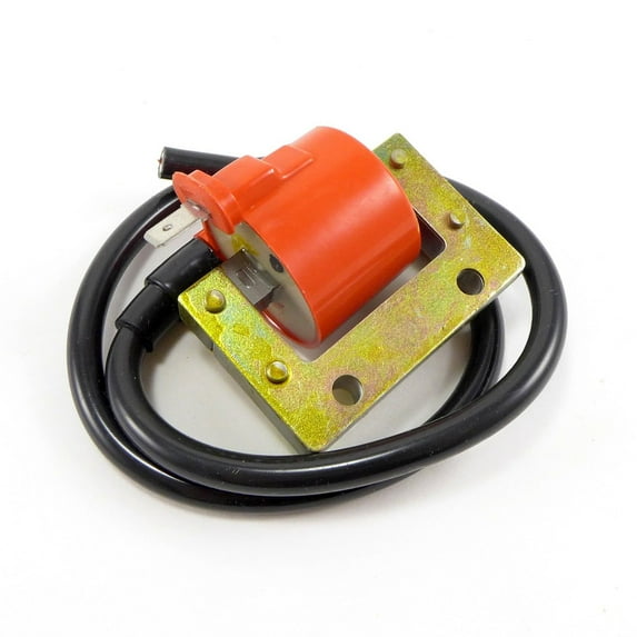 Hi Performance Ignition Coil for Puch Murray Sears Free S Moped