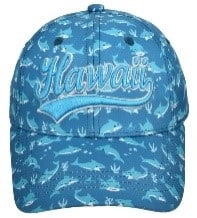 Hi Robin Ruth Embrd Youth Cap Lt Blue