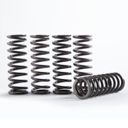 Hinson Racing Hi-Temp Clutch Spring Kit, Set of 6 CS855-6-0116