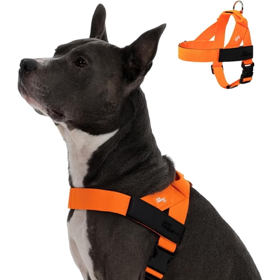 Hi-Vis Orange X-Large Adjustable Dog Harness with Grab Handle, Chafe Resistant Polyester Pet Vest Harness, Heavy Duty Back D-Ring Easy Clip On Walking Harness for Small Medium Large Dogs