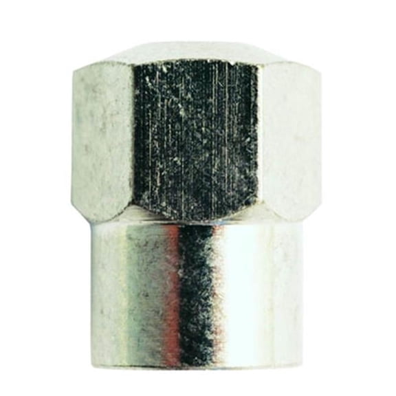 Hi-performance Valve Cap, Brass