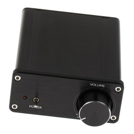 HiFi Power Audio Stereo Amps 24V 20Hz To 20KHz 2*100W