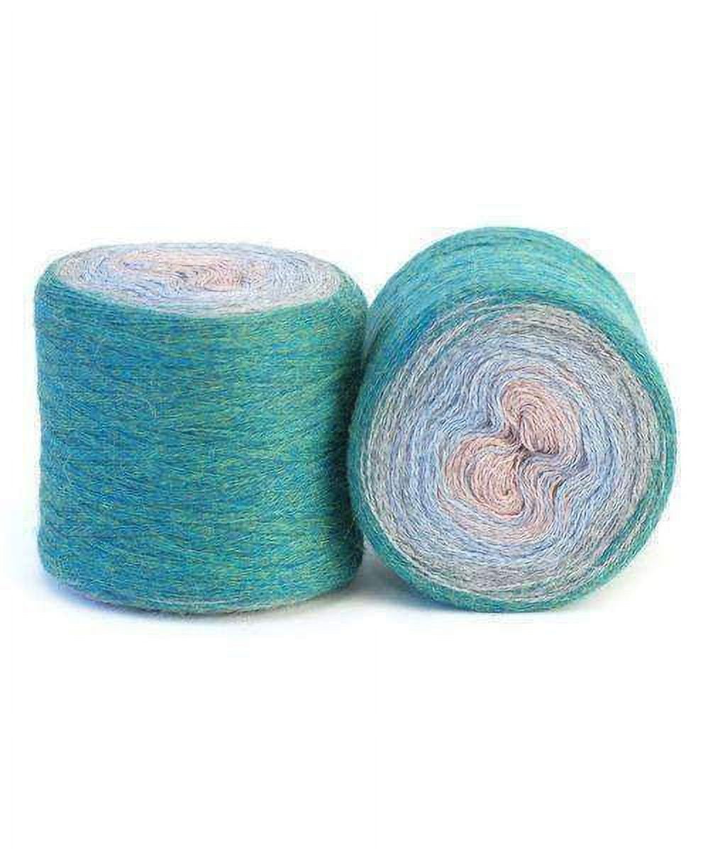 Red Heart Knitting Yarn Super Saver Ombre True Blue 2-Skein Factory Pack (Same Dyelot) E305-3962 Bundle with 1 Artsiga Crafts Project Bag