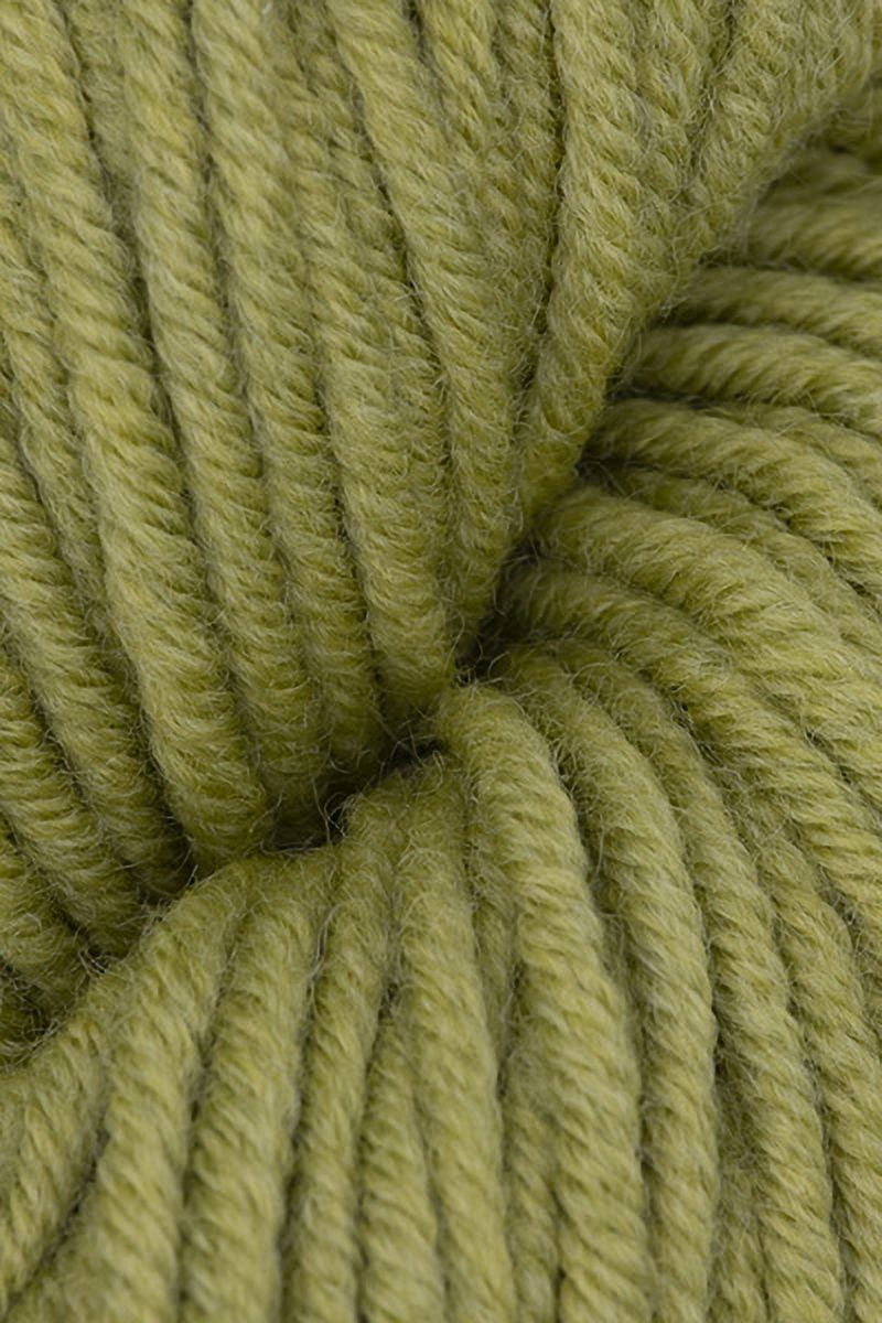 Simpliworsted Yarn - Simply Sage (# 059), HiKoo