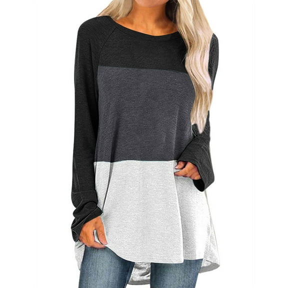Women Colorblock Crew Neck Long Sleeve Scoop Hem Top