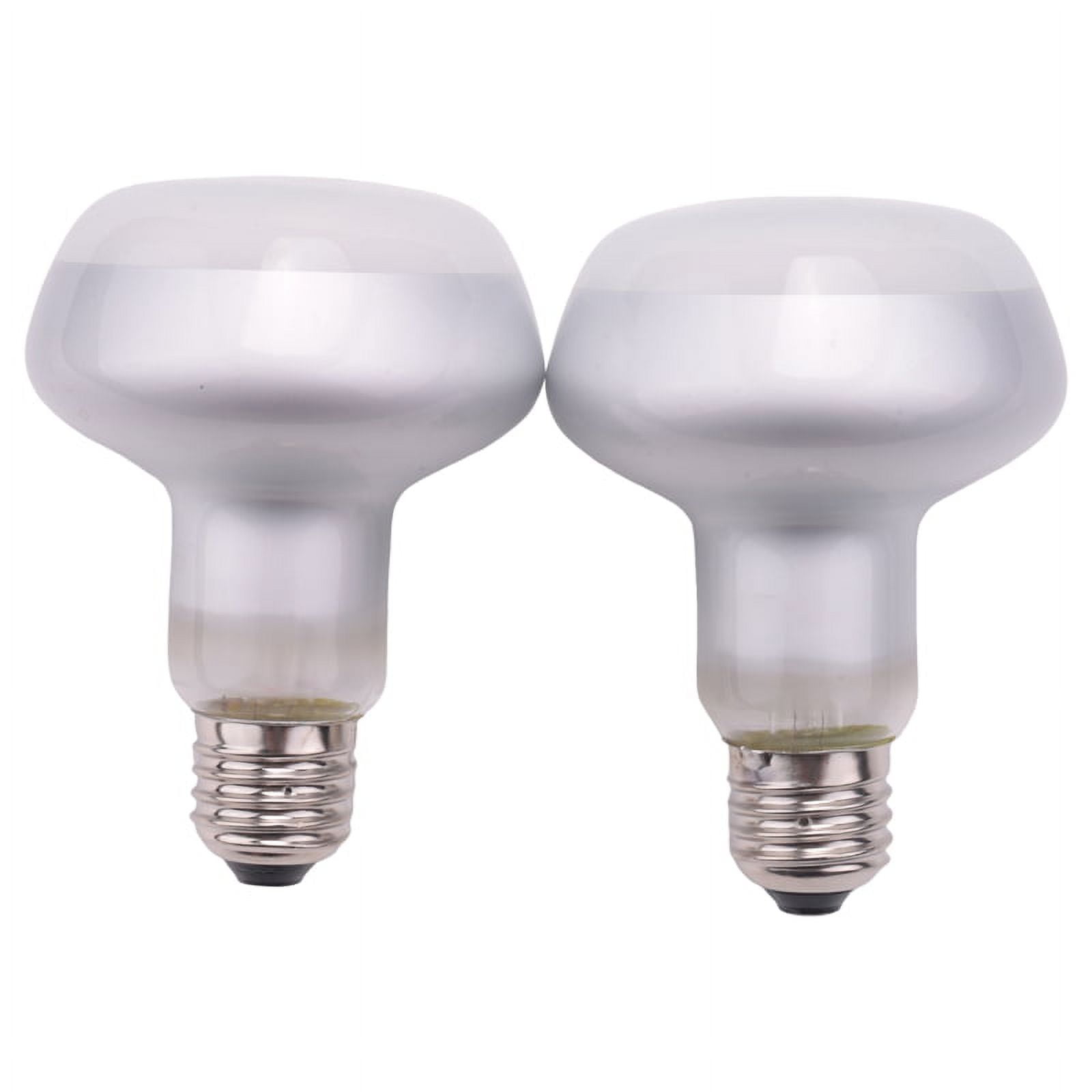 Hibibud 75W Reptile Light UVA Heat Lamp Bulb Bearded Dragon Accessories for 220V