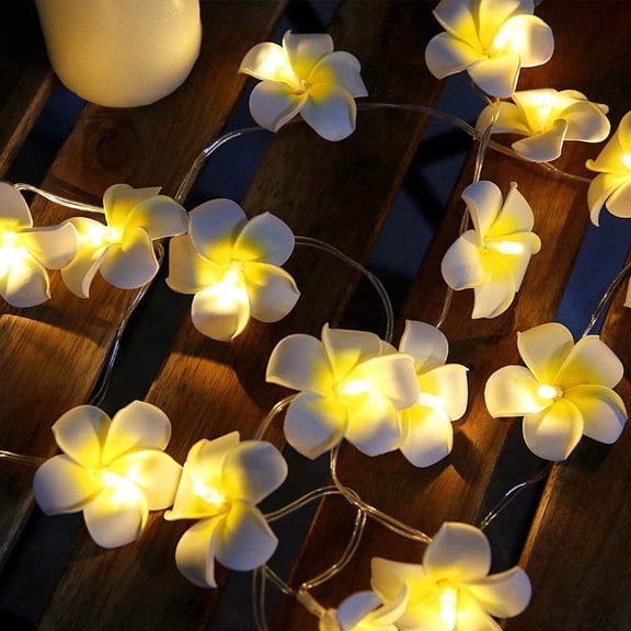 6.56FT LED Foam Plumeria String Light Hawaiian Party Decorations Plumeria Flower Led String Lights Battery Operated Fairy Lights for Wedding Beach Party