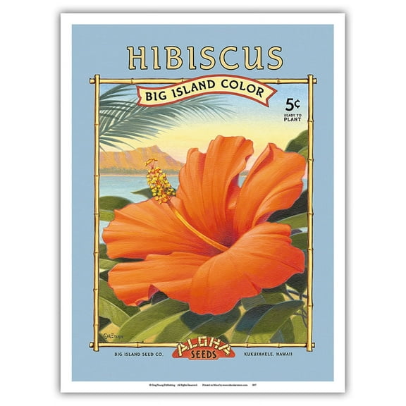 Hibiscus - Aloha Seeds - Big Island Seed Company - Big Island Color - Vintage Seed Packet by Kerne Erickson - Master Art Print (Unframed) 9in x 12in